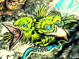 Street art Buenos Aires