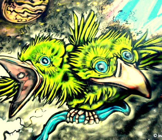 Street art Buenos Aires
