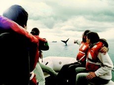 Top Things to Do in Puerto Madryn