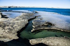 Top Things to Do in Puerto Madryn