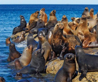 Top Things to Do in Puerto Madryn