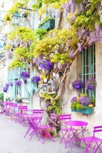 paris streets
