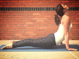 Upward Dog