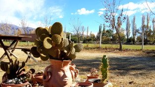Cafayate & Casa Arbol Hostel