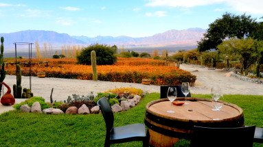 Cafayate & Casa Arbol Hostel