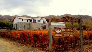 Cafayate & Casa Arbol Hostel