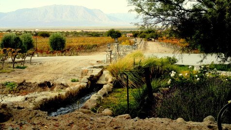 Cafayate & Casa Arbol Hostel