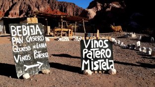 Cafayate & Casa Arbol Hostel