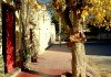Cafayate & Casa Arbol Hostel