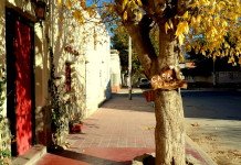 Cafayate & Casa Arbol Hostel