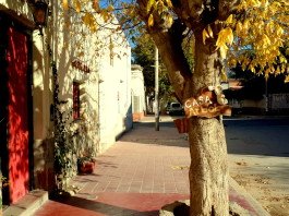 Cafayate & Casa Arbol Hostel