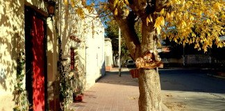 Cafayate & Casa Arbol Hostel