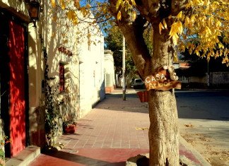 Cafayate & Casa Arbol Hostel