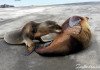 Galapagos Islands – Everything You Should Know San Cristobal port
