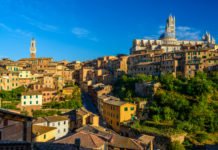 siena